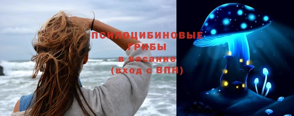 МДПВ Дмитровск