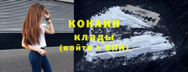 индика Дмитров