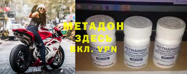 индика Дмитров