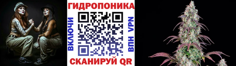 Канабис Amnesia  Купить закладки  Талдом 